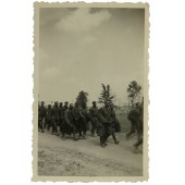 1941 год. Колонна советских военнопленных